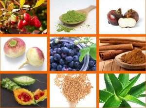 HOW TO CURE DIABETES NATURALLY WITH NATURAL FOOD