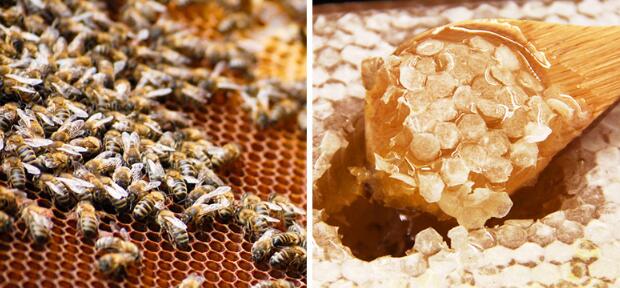 Is it safe to eat honey when diabetic?