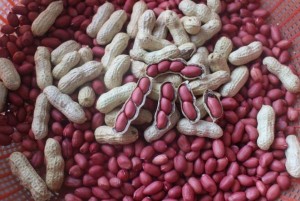 Ways to include peanuts in your day to day diet