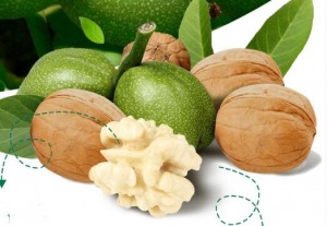 Can Diabetics Eat Walnuts