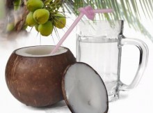 Is Coconut Good for Diabetes