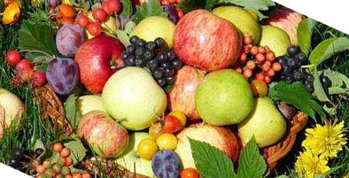 fruit can diabetics eat