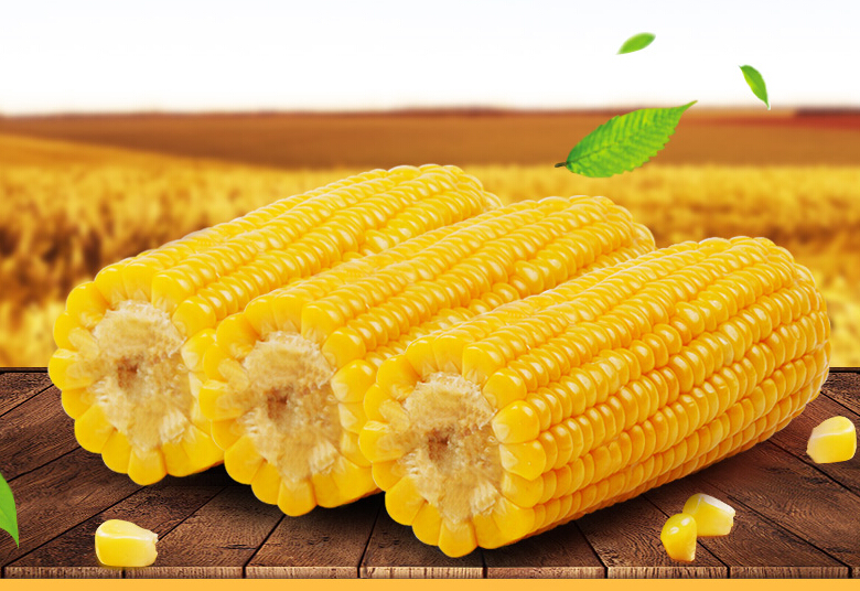 IS CORN GOOD FOR DIABETICS